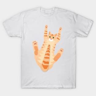 Orange Cat with Cats have 18 Toes Message T-Shirt
